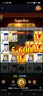 1781397267858.webp