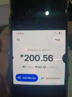 17814174936915573463575280879778.webp