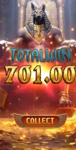 1000002334.webp
