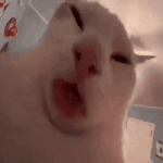 lick.gif