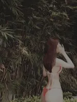 SaveClip.App_701785666_18561771664067243_3502625119758545895_n.webp