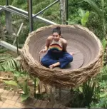 Maine-bird-nest.webp