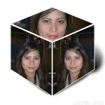 1960937_10205811976963693_7980316866825358451_o.webp