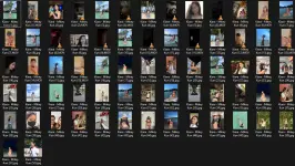 Untitled.webp