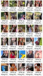 Lunasake ~ OFW sa Hong Kong.webp