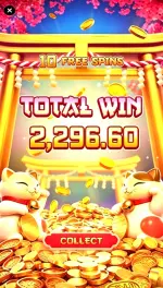 8740.webp
