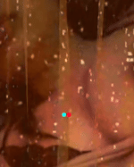 90a07e31-291b-4122-a91d-ffa04f67d621.gif
