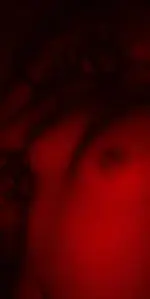 1121907c-4e21-4699-9362-a39ee2eb9c4e.webp