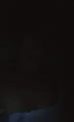 8.webp