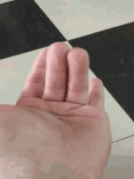 finger.gif