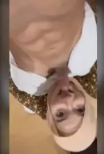 Screenshot 2026-07-03 002451.webp