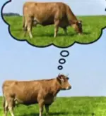HIUybyBXcAAWrCG.webp