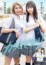 1783157519686.webp