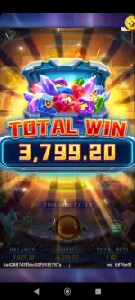 FB_IMG_1782882265178.webp