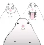 9d5a4e88b0e14d879e279a3bc4c951a6.webp