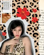 60335.webp