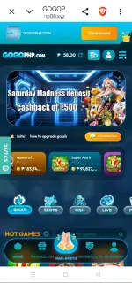 1783309866183.webp