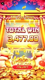 8884.webp