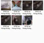 Lubelle Princess ~ OFW sa Hong Kong.webp