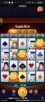 1000005740.webp