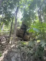 7622674505739046162_live_8.webp