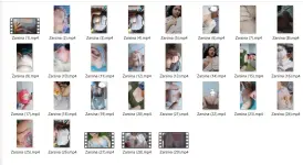 1783951728454.webp