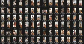 Untitled.webp
