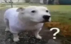 HMonbcDasAAV3Ff.webp