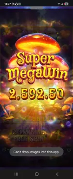 1000011397.webp