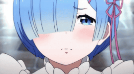 rem.gif