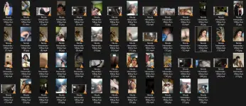 Untitled.webp