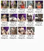 Jolly ~ OFW sa Hong Kong.webp