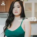 AOCAMPO-COVER-PDS3.webp