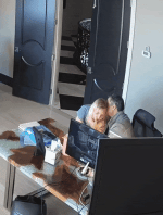 Pi7_GIF_CMP (5).gif