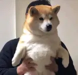 FeZ_jjMWAAANT6V.webp