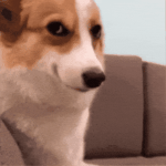 giphy (2).gif giphy (2).gif