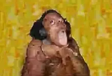 HJ1rcKIXIAEgjw2.webp