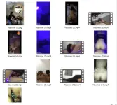 1784561526603.webp
