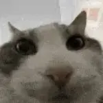 HF0lCWSa8AA7NRx.webp