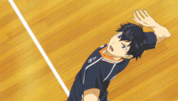 Volleyball GIF - Volleyball GIFs