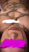 4ld5mhnmbl9g1.webp