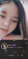 409.webp