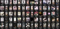 Untitled.webp