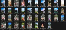 Untitled.webp