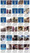 Jel ~ OFW sa Hong Kong.webp
