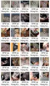 Joycee ~ OFW sa Hong Kong.webp
