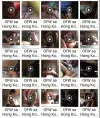 Justine MJ ~ OFW sa Hong Kong.webp