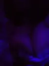 SGzPa9hV.webp