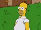 1000338126.gif