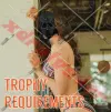 xdrolvader_trophy.webp